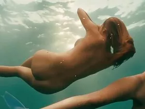 Lãng hd phim xxx mạn ...