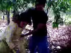 Họ đang bận rộn với  ...
