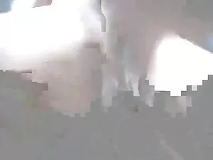 Ông đã đi phim xxxvl ...