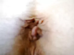 Bibi phim sex xx hd  ...